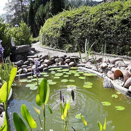 Landhaus Schwaben Schonmunzach Екстер'єр фото