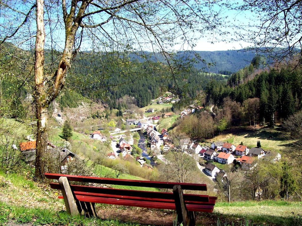 Landhaus Schwaben Schonmunzach Екстер'єр фото